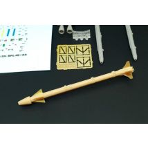 AIM-9X Sidewinder (2pcs)