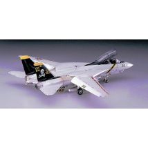 F-14A Tomcat (H.V.)