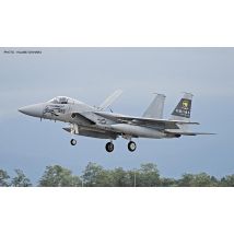 F15J Eagle, 306SQ 35th  Anniversary