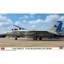 F-14D Tomcat, VF 213, Blacklions last cruise