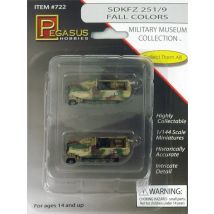 SdKFZ 251/9, farbig
