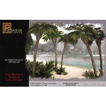 kleine Palmen, 12 cm