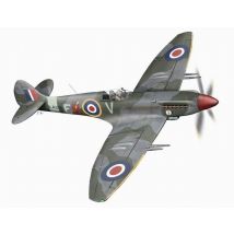 Supermarine Spitfire Mk.21