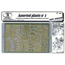 Assorted plants n.1