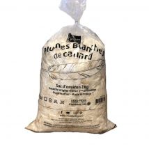 Plumes blanches de canard 1kg - Mondial Tissus