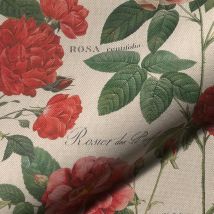 Tissu coton écru imprimé rosiers vintage digital - Mondial Tissus