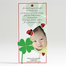 Faire-part naissance Ma Chance personnalisable - 10 x 21 cm - Monfairepart