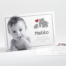 Faire-part naissance Famille Eléphant personnalisable - 13,8 x 9,5 cm - Monfairepart