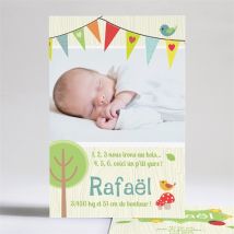 Faire-part naissance Bannières en folie personnalisable - 14,5 x 21 cm - Monfairepart