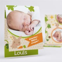 Faire-part naissance Lapin et carotte mignon personnalisable - 10 x 15 cm - Monfairepart