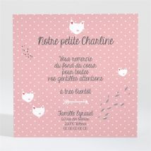 Remerciement naissance Notre Petit chaton fille personnalisable - 9,5 x 9,5 cm - Monfairepart