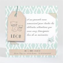 Remerciement naissance Notre Petit Chat personnalisable - 9,5 x 9,5 cm - Monfairepart