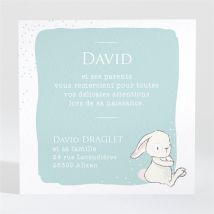 Remerciement naissance Lapinou personnalisable - Couleur Bleu et Blanc - 9,5 x 9,5 cm - Monfairepart