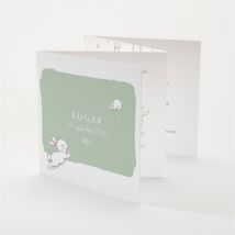 Faire-part naissance Ravissant lapin personnalisable - Couleur Vert, Blanc et Gris - 10 x 10 cm - Monfairepart