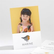 Invitation anniversaire Cui Cui