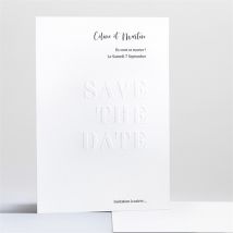 Save the Date mariage Follement Oui personnalisable - Couleur Rose, Bleu et Blanc - 14,5 x 21 cm - Monfairepart