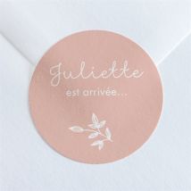 Sticker naissance Simple Cadre et photo personnalisable - Couleur Rose - 4 cm - Monfairepart