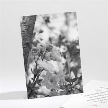 Carte de condoléances décès En image personnalisable - 9,5 x 13,8 cm - Monfairepart