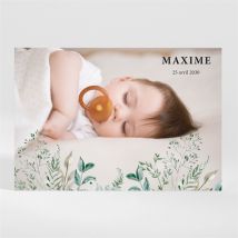 Faire-part naissance Sur son couffin d'Aquarelle personnalisable - Couleur Vert, Bleu et Beige et Noir et Multicolore - 13,8 x 9,5 cm - Monfairepart