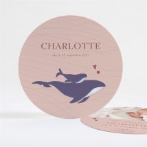 Faire-part naissance Jolie Baleine personnalisable - Couleur Rose/Bleu, Beige et Marron - 13,5 cm - Monfairepart