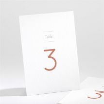 Numéro de table mariage Son Eclat personnalisable - 9,5 x 13,8 cm - Monfairepart