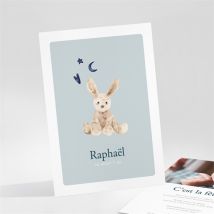 Invitation anniversaire Lapin