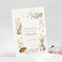 Invitation anniversaire Lapins
