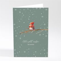 Faire-part naissance Flocons de neige personnalisable - Couleur Vert - 10 x 14,5 cm - Monfairepart