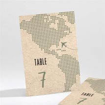 Numéro de table mariage Billet d'avion personnalisable - 9,5 x 13,8 cm - Monfairepart