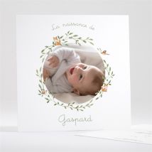 Faire-part naissance Famille renard personnalisable - Couleur Vert, Orange et Blanc - 13,5 x 13,5 cm - Monfairepart