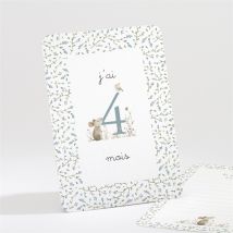 Carte étape bébé Ferme personnalisable - 16 cartes 13,8 x 9,5cm - boîte fermée 13,9 x 9,9cm - Monfairepart