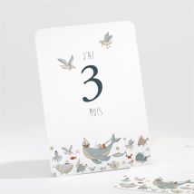 Carte étape bébé Marin personnalisable - 16 cartes 13,8 x 9,5cm - boîte fermée 13,9 x 9,9cm - Monfairepart