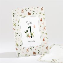 Carte étape bébé Dans les bois personnalisable - 16 cartes 13,8 x 9,5cm - boîte fermée 13,9 x 9,9cm - Monfairepart