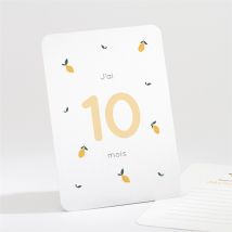 Carte étape bébé Fruits personnalisable - 16 cartes 13,8 x 9,5cm - boîte fermée 13,9 x 9,9cm - Monfairepart