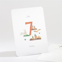 Carte étape bébé À la ferme personnalisable - 16 cartes 13,8 x 9,5cm - boîte fermée 13,9 x 9,9cm - Monfairepart