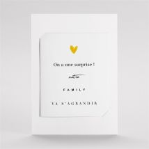 Carte annonce grossesse La famille s'agrandit ! duo
