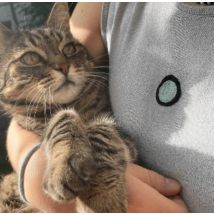 Reparaturset  - SOS Petit Trou - Galaxie - Green Bobine - Green Bobine - MT Stofferie