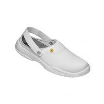 Sabot de sécurité mixte SB SRC ESD Maxguard