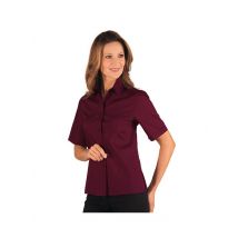 Chemisette Femme Kyoto Bordeaux - MyLookPro