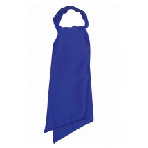 Foulard Ascot Bleu Cyan - MyLookPro