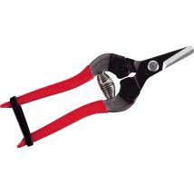 ARS 310-T Straight Blade Fruit Pruner