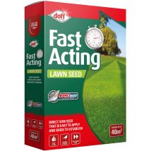 Doff Hard Wearing Lawn Seed 500g