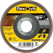 Flexovit Abrasive Flap Disc 125mm 40g