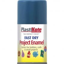 Plastikote Dry Enamel Aerosol Spray Paint