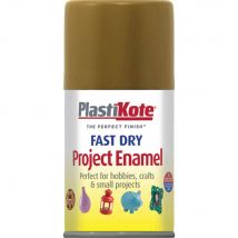 Plastikote Dry Enamel Aerosol Spray Paint Anitque Gold 100ml