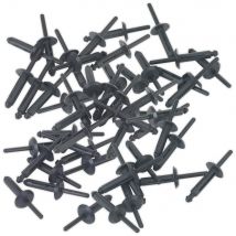 Sealey Plastic Rivets