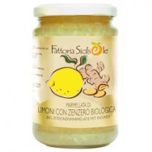 Zitronen-Ingwer-Marmelade