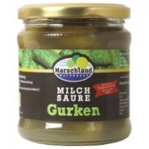 Salz-Dillgurken im Glas, milchsauer fermentiert