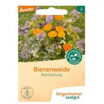 Blumenmischung Bienenweide