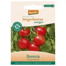 Tomaten Dorenia